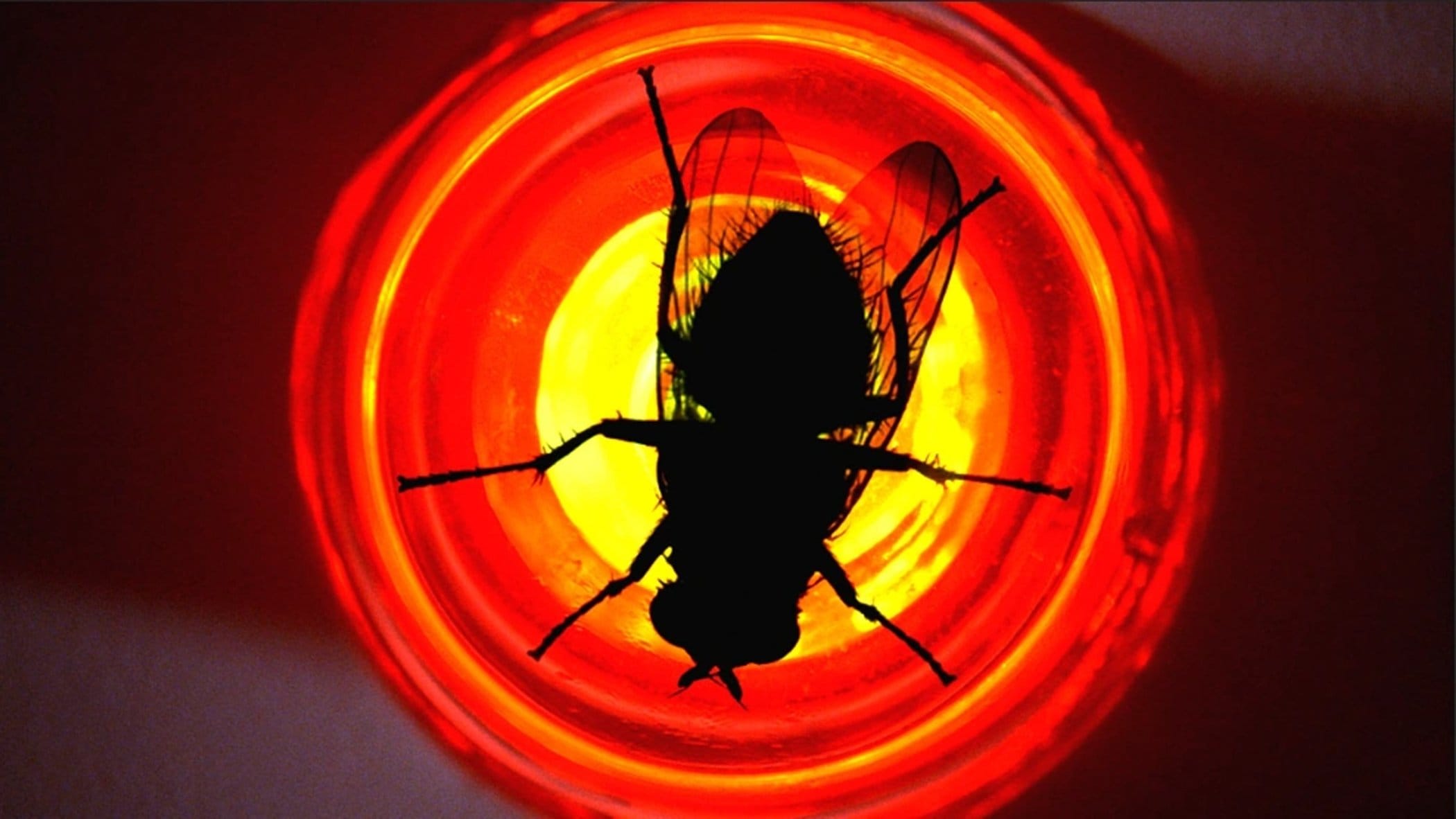 Breaking Bad: Sezon 3 Odcinek 10