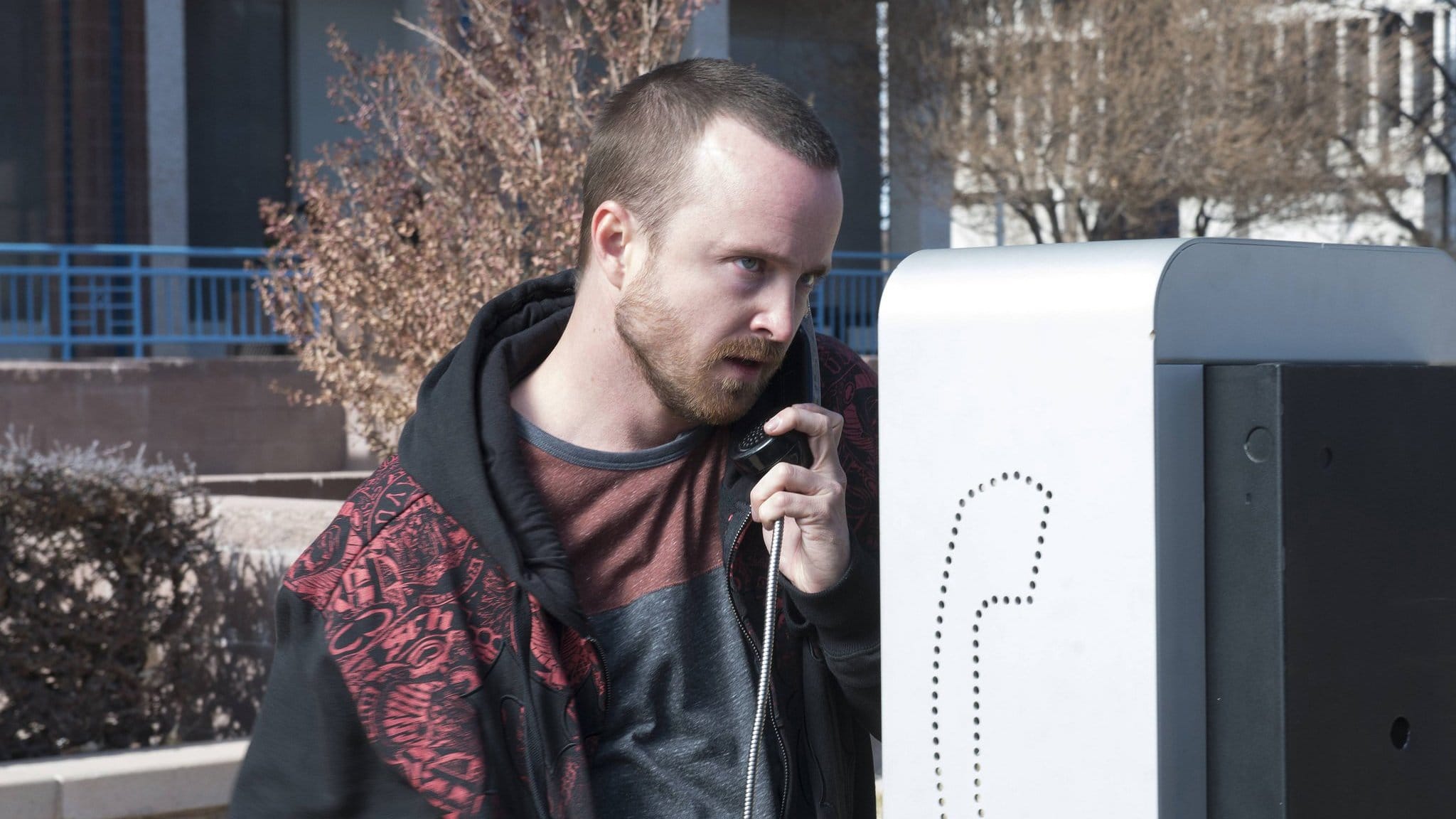 Breaking Bad: Sezon 5 Odcinek 12