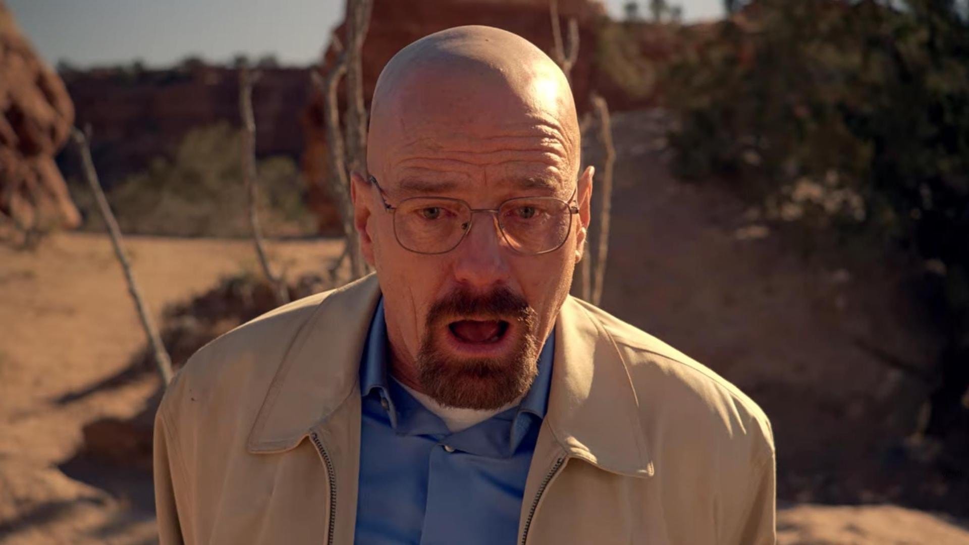 Breaking Bad: Sezon 5 Odcinek 14